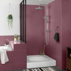 Peinture Salle De Bain V33 Rénovation Perfection Prune Sauvage 2 L -V33 Soldes 70413692 3