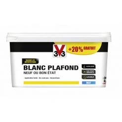 V33 Peinture Murs Et Plafonds