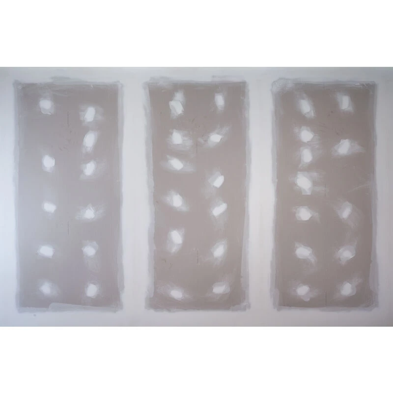 Sous-couche Intérieure Plaque De Plâtre Blanc Mat 5L V33 5 Sous-couche Intérieure Plaque De Plâtre Blanc Mat 5L V33 – Image 3