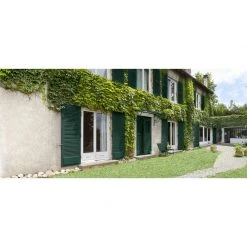 V33 Peinture Multimatériau Extérieur Décolab® V33 Vert Basque Satiné 2 L -V33 Soldes v33 peinture multimateriau exterieur decolab v33 vert basque satine 2 l L 821 35173663 3